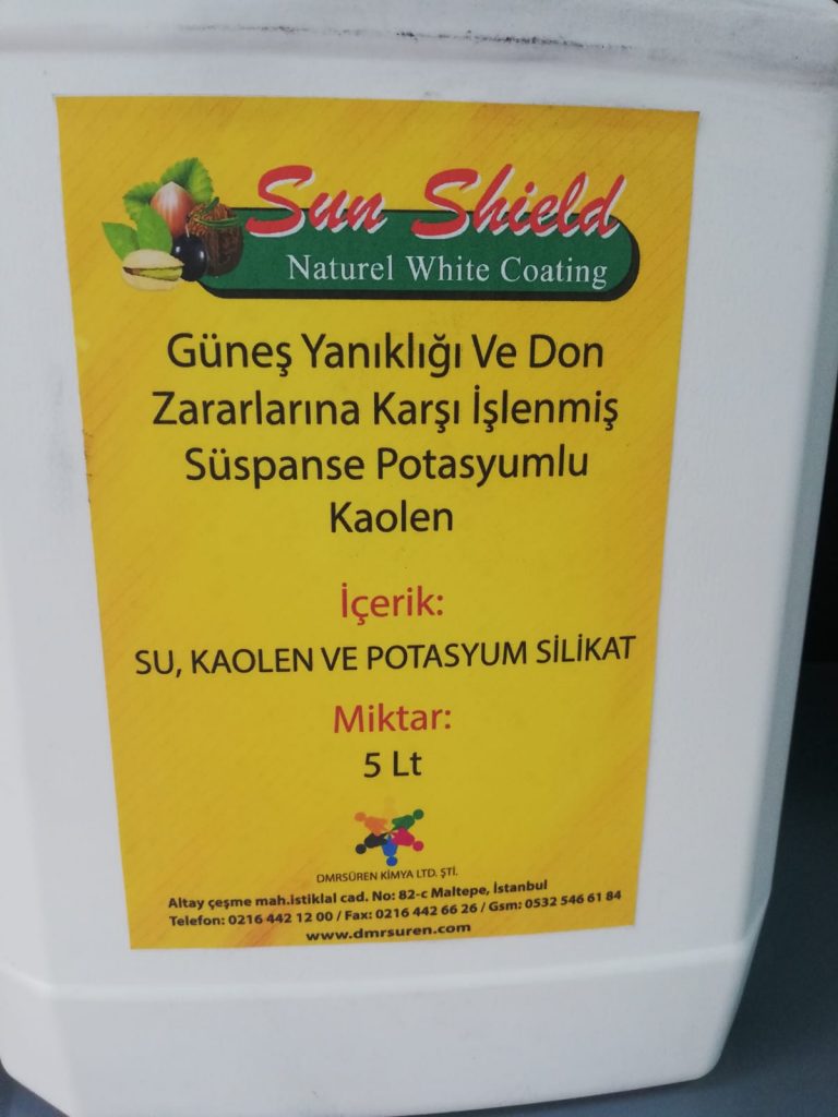Zeytin sineği Mücadelesinde Kaolin Uygulamaları